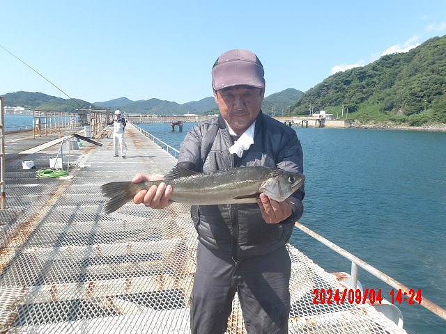 2024年9月4日　(水）