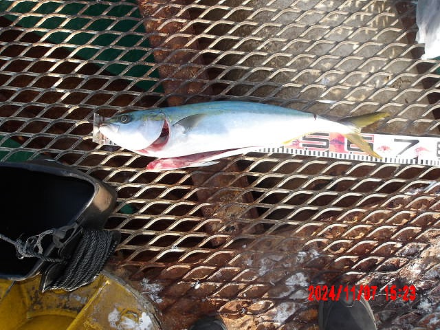 2024年11月7日（木）