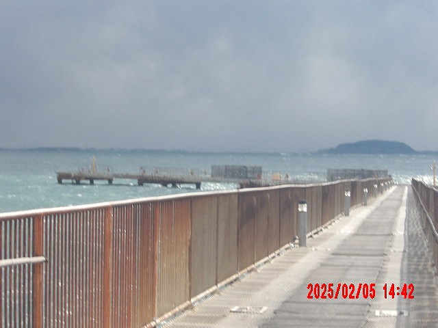 2025年2月5日（水）