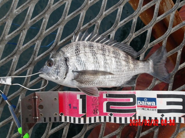 2025年2月2日（日）