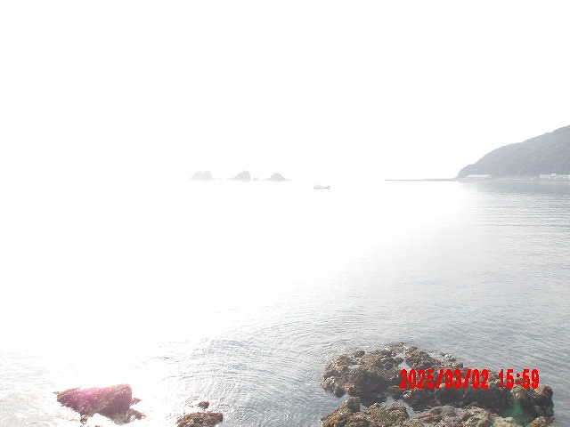 2025年3月2日（日）