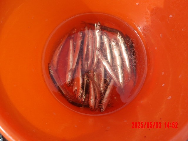 2025年5月3日（土）