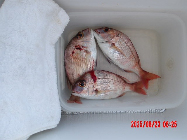 2025年8月23日（土）