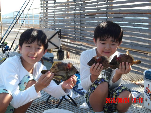 2025年8月24日（日）