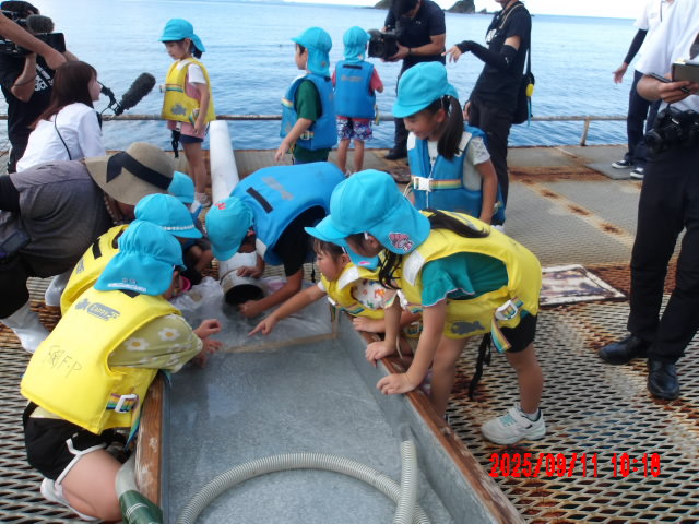 2025年9月11日（木）