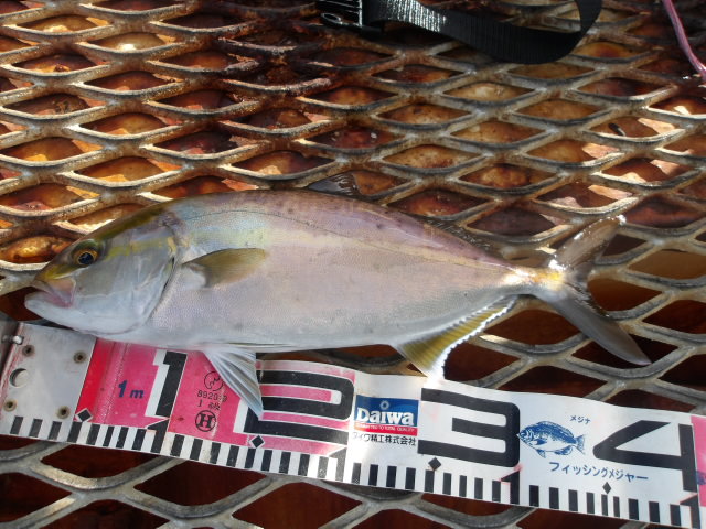 2025年10月9日（木）