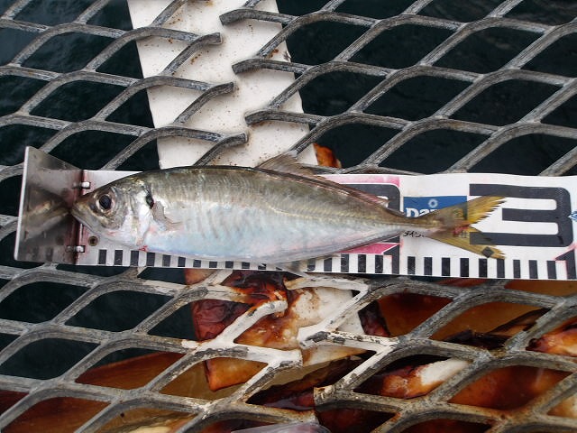 2025年10月18日（土）