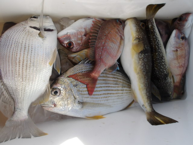 2025年11月29日（土）