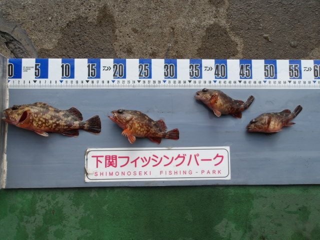 2025年12月8日（月）