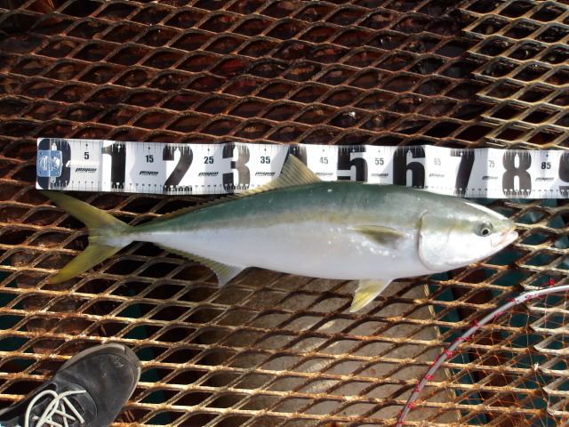 2025年12月18日（木）