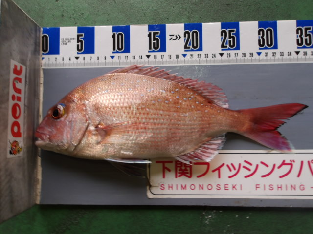 2025年12月29日（月）