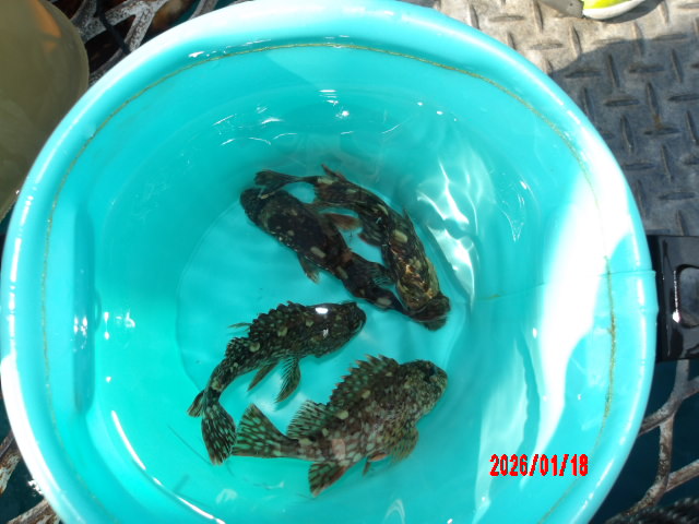 2026年1月18日（日）