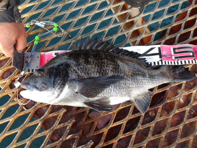 2026年2月13日（金）