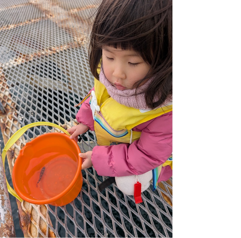 2026年2月16日（月）