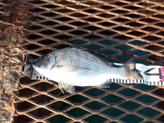 2026年2月21日（土）