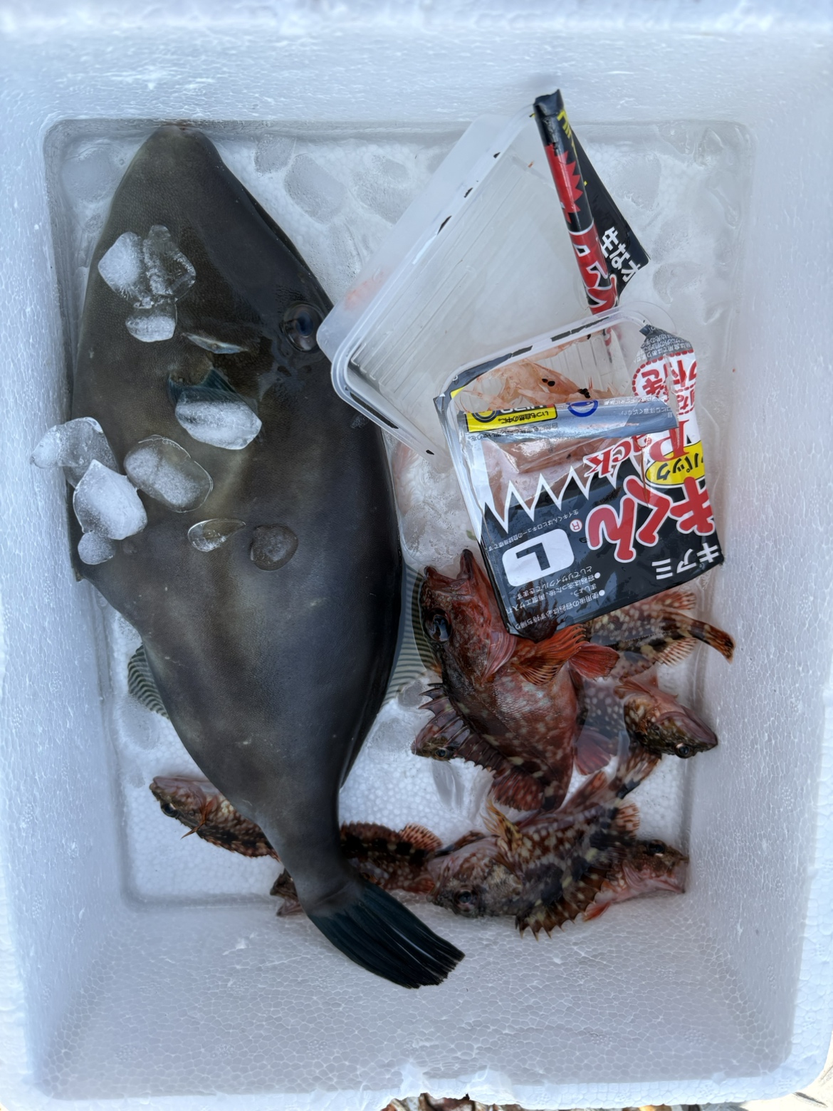 2026年2月28日（土）