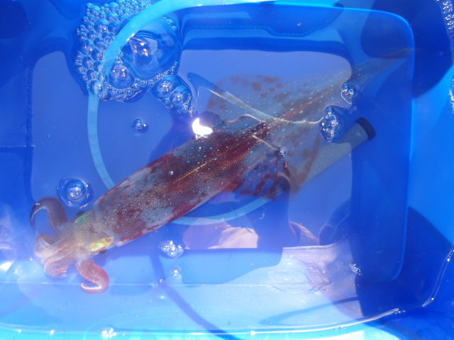 2026年3月1日（日）