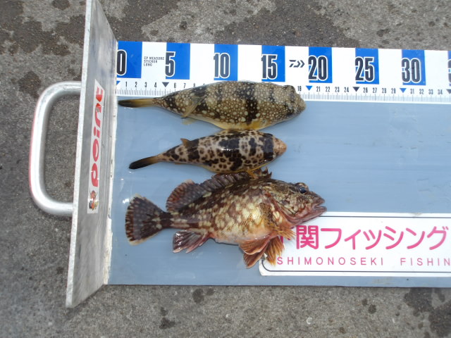 2026年3月4日（水）