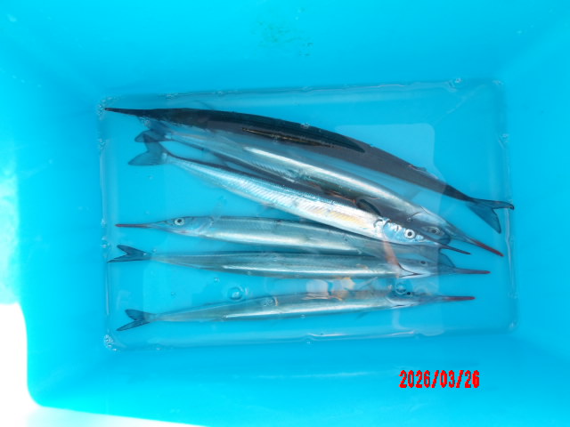 2026年3月26日（木）