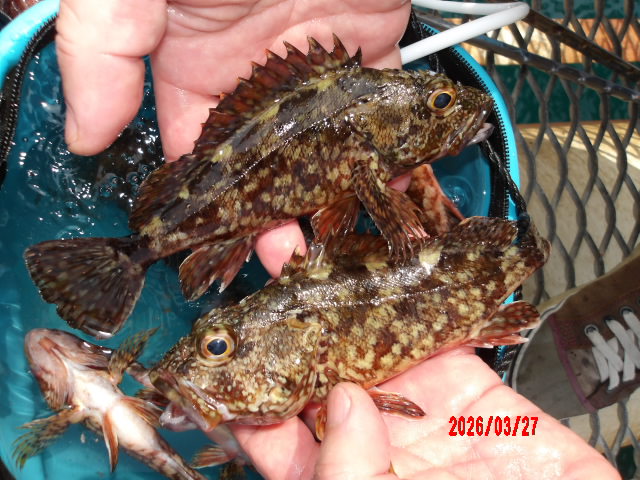 2026年3月27日（金）