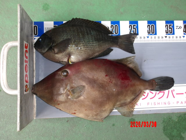 2026年3月30日（月）