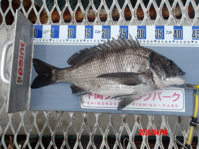 2026年4月10日（金）