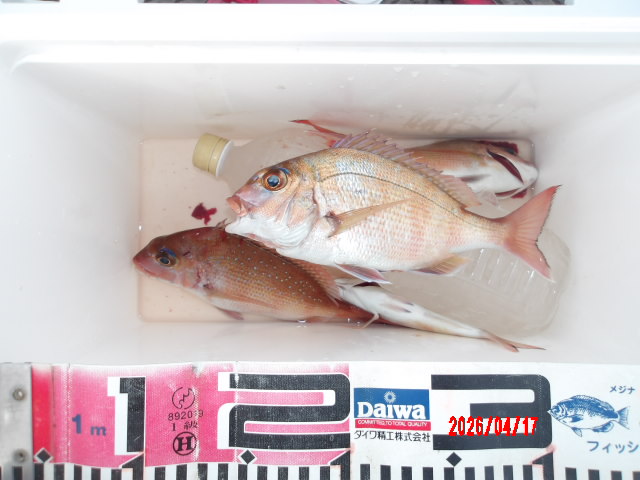 2026年4月17日（金）