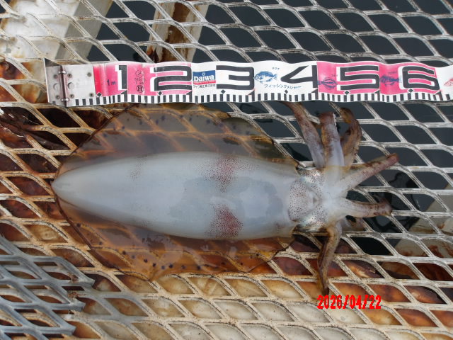 2026年4月22日（水）