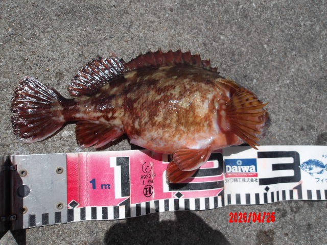 2026年4月25日（土）