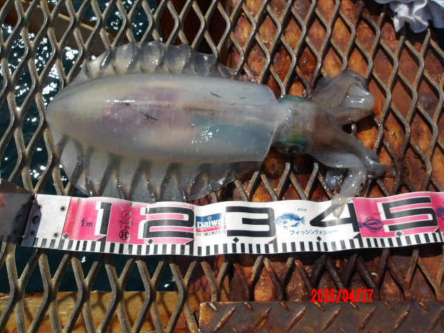 2026年4月27日（月）