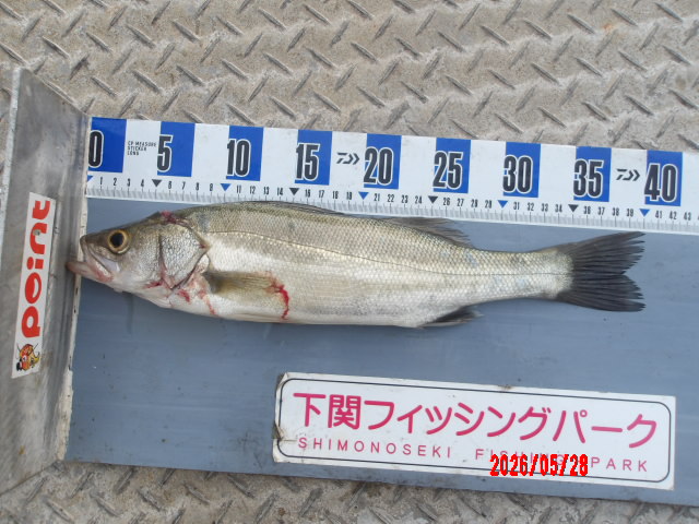2026年5月28日（木）