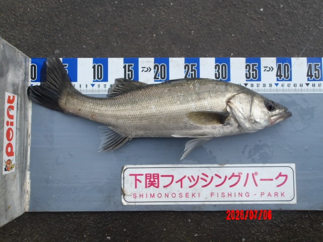 2026年7月6日（月）