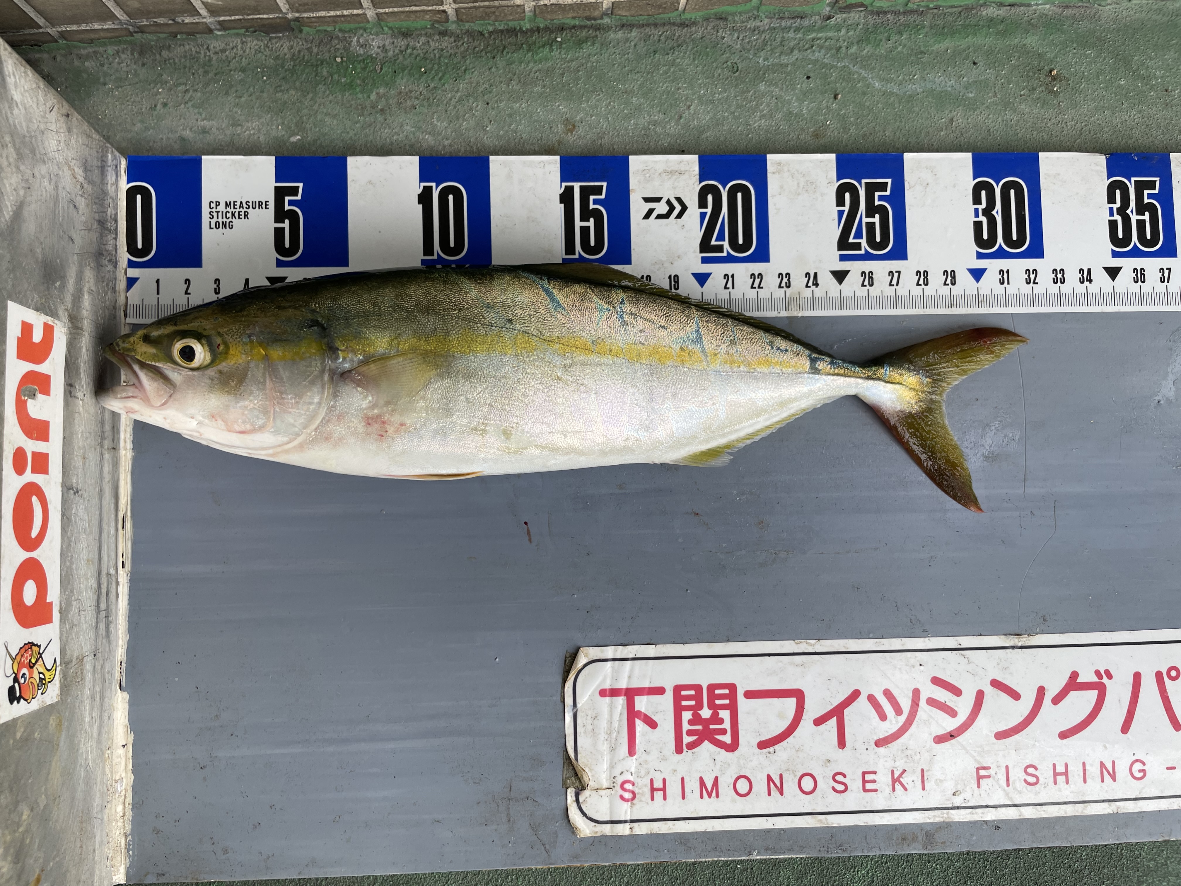 2026年7月16日（木）