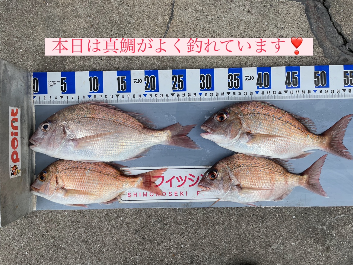 2026年10月1日（木）